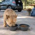Double Collapsible Travel Bowls in use
