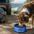Folding Pet Travel Bowl in use outdoors